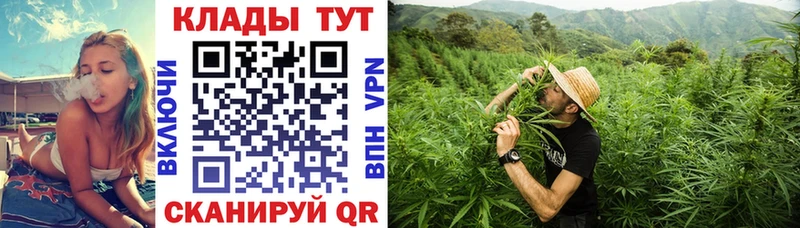 Сколько стоит Терек Каннабис  Меф мяу мяу  ГАШИШ 