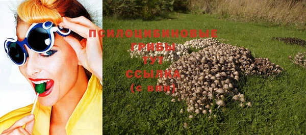 хмурый Абинск