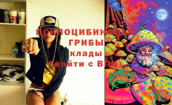 хмурый Абинск