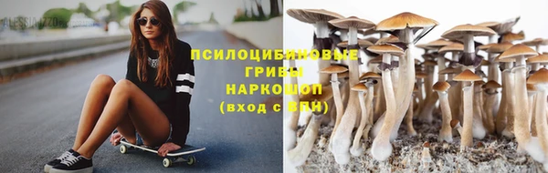 хмурый Абинск