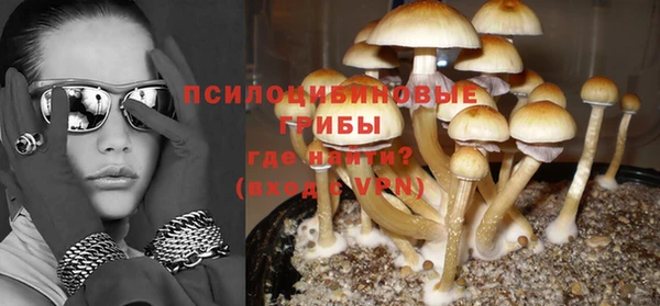 хмурый Абинск
