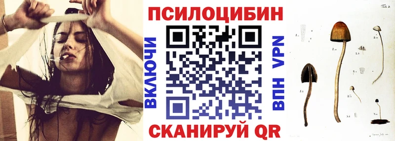 Галлюциногенные грибы Cubensis  Терек 