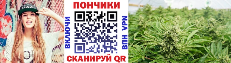 Марихуана марихуана  Терек 